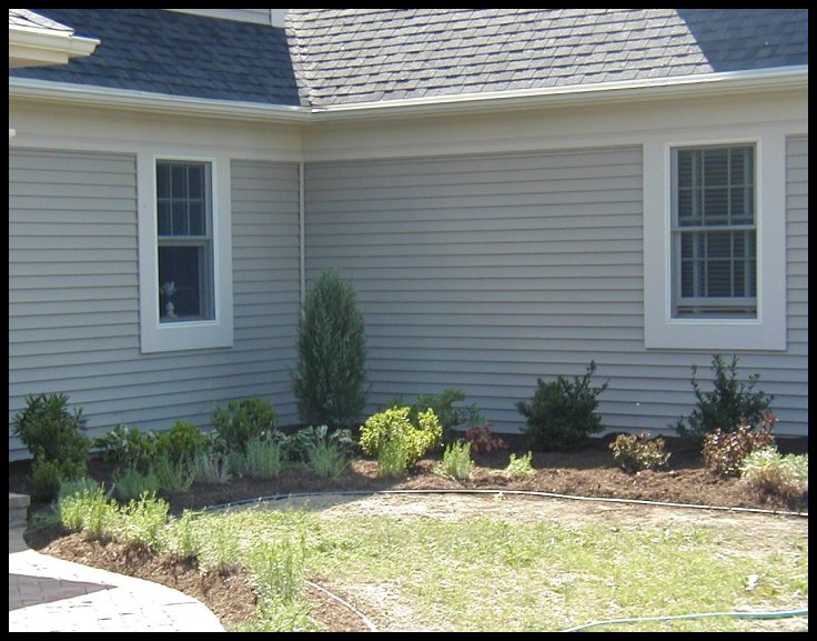 Landscaping Job